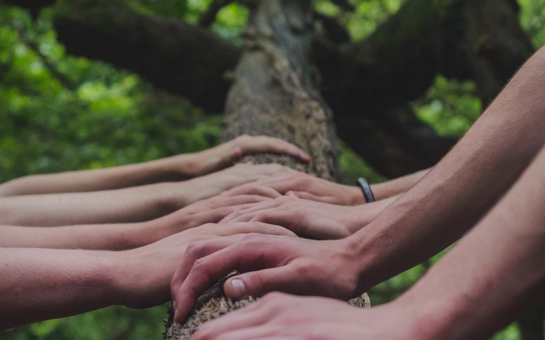 Building Team Trust